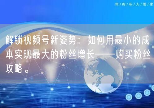 解锁视频号新姿势：如何用最小的成本实现最大的粉丝增长——购买粉丝攻略。