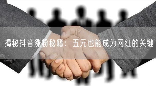 揭秘抖音涨粉秘籍：五元也能成为网红的关键